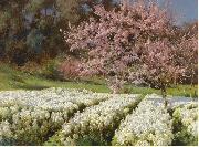 Antonio Mancini Spring blossom USA oil painting artist